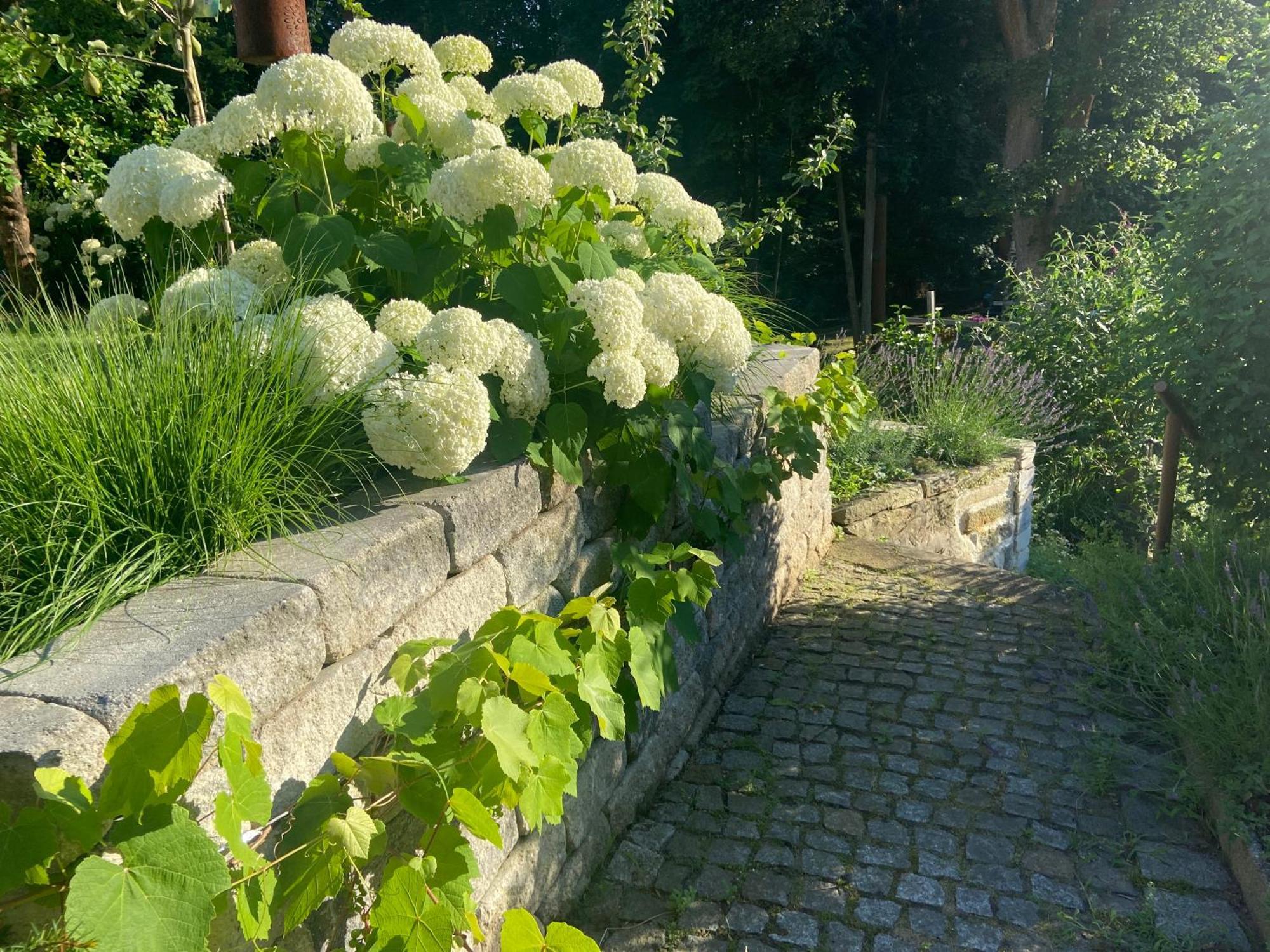 Romantik Idyll Am Tiefental Konigsbruck Exteriér fotografie